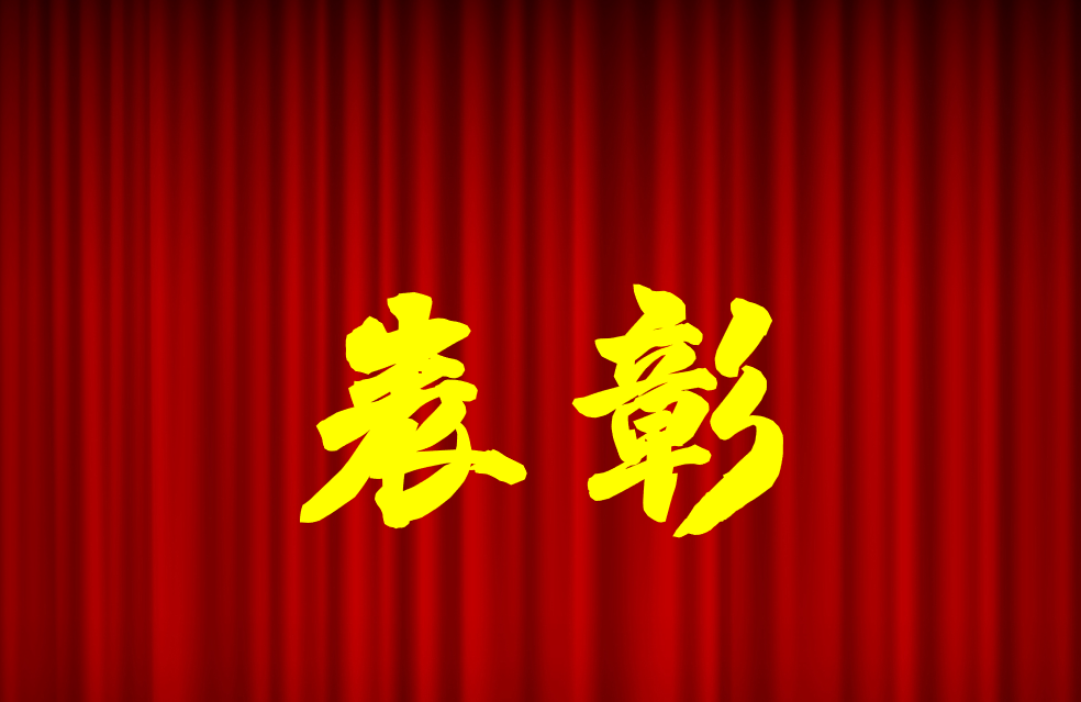 逐光前行、榮耀共鑒 | 公司2024年度表彰來(lái)啦！